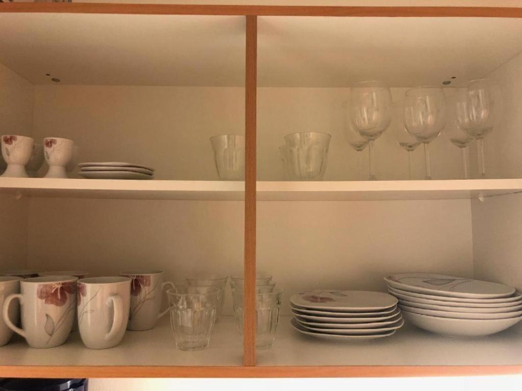 Apartmans V Arealu Vlnena Brno Eksteriør billede